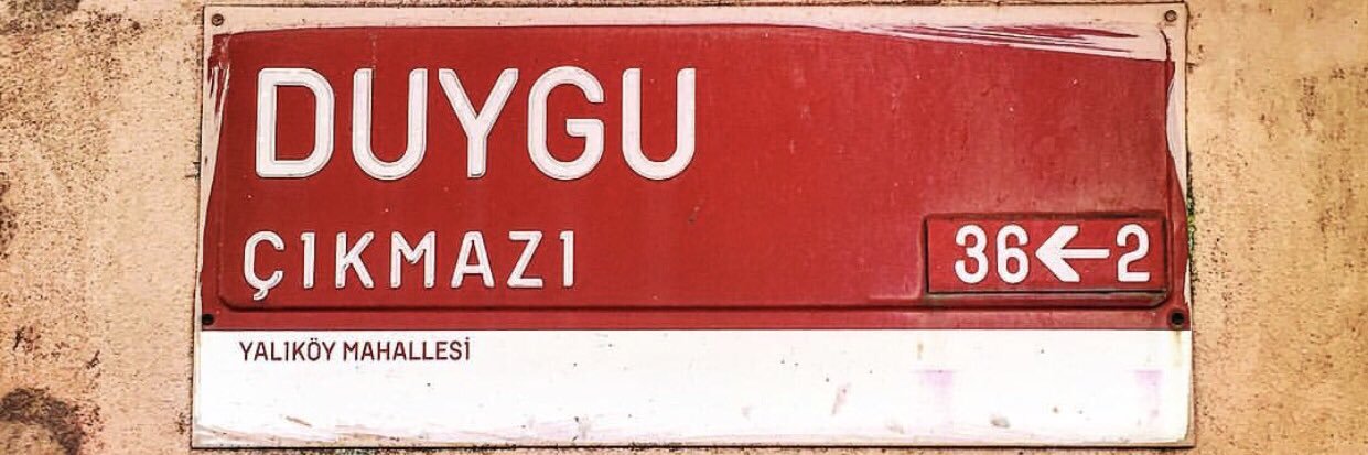 dygylmn's profile banner image
