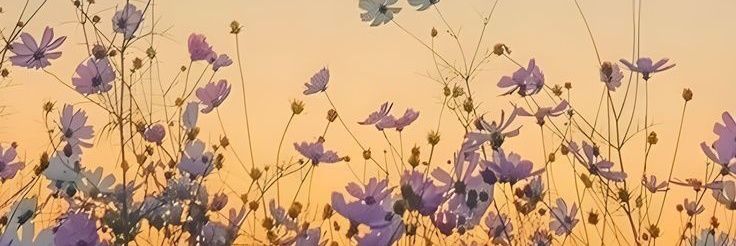 annisyaeka1's profile banner image