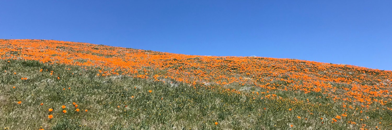 Elisa V Mariscal banner