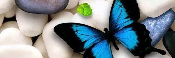MuriithiDouglas's profile banner image