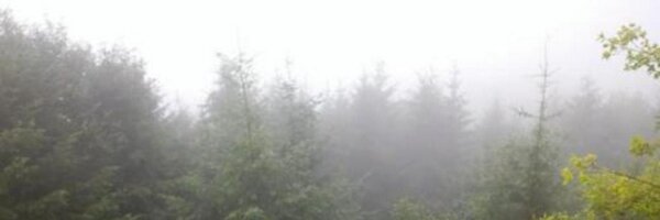 GammaLead Profile Banner