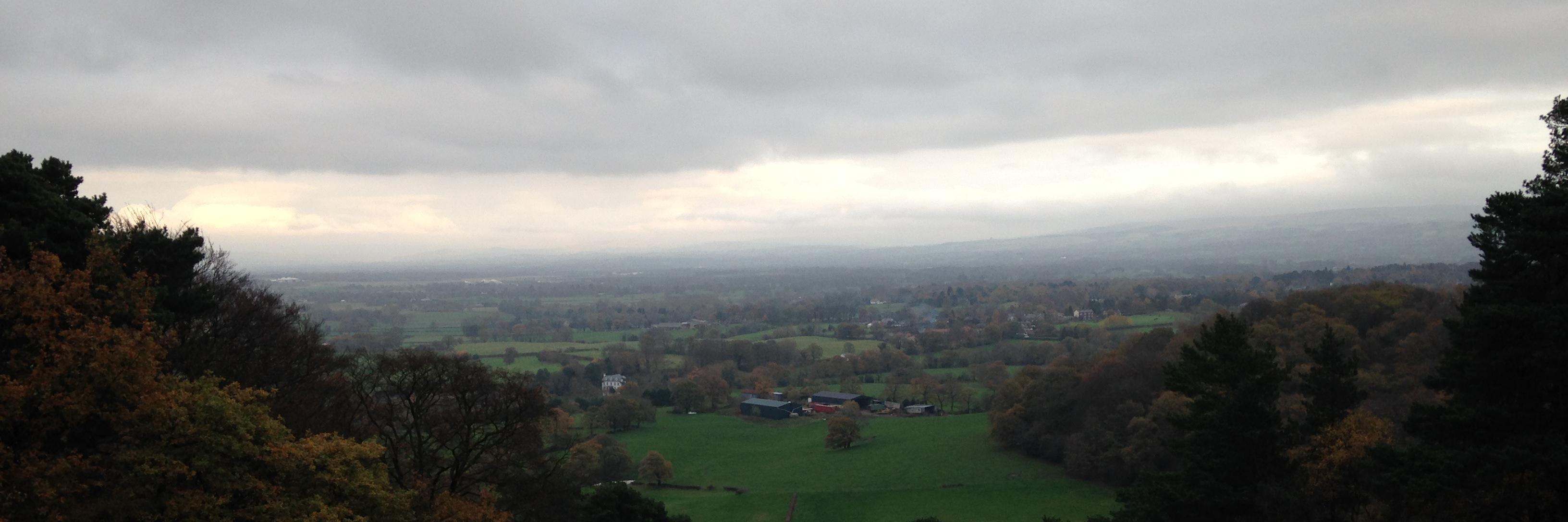 Christopher Wallis banner