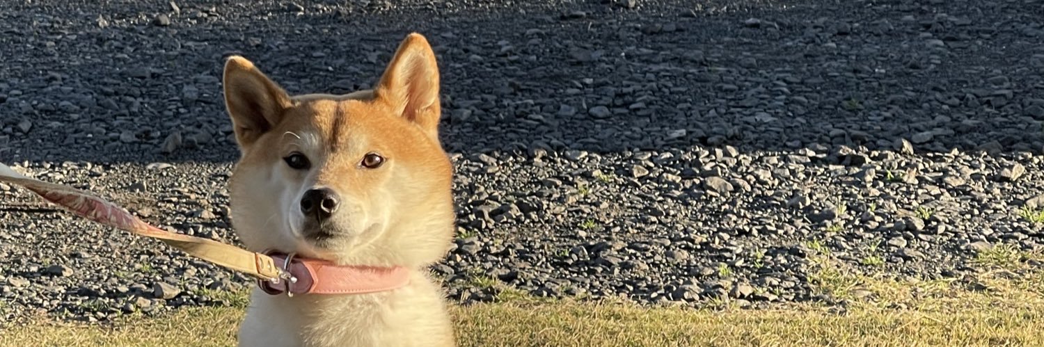 _npfcd_'s profile banner image