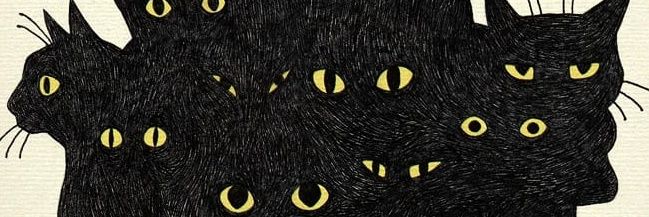 thedesignwar's profile banner image