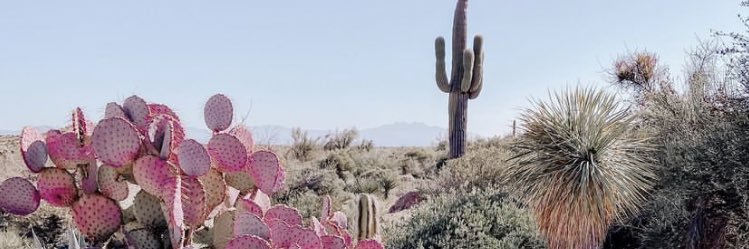 ksewell_8's profile banner image