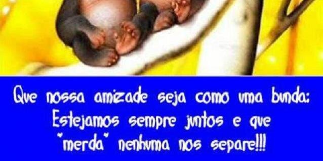NESTORZINHO1's profile banner image