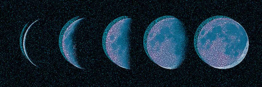 kokojakes's profile banner image