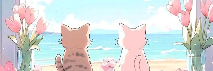 Na11Ns's profile banner image