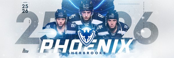 PhoenixSherbroo Profile Banner