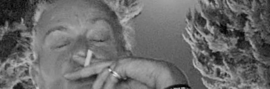 Carole_Miko's profile banner image