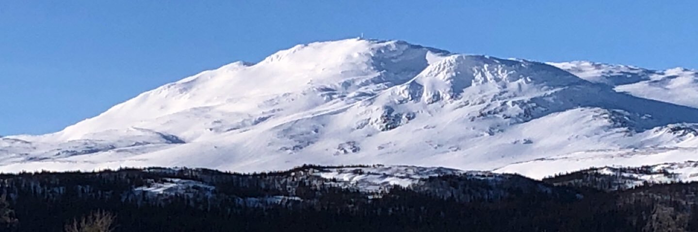 Daniel Wikström banner