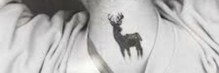 musicadicted's profile banner image