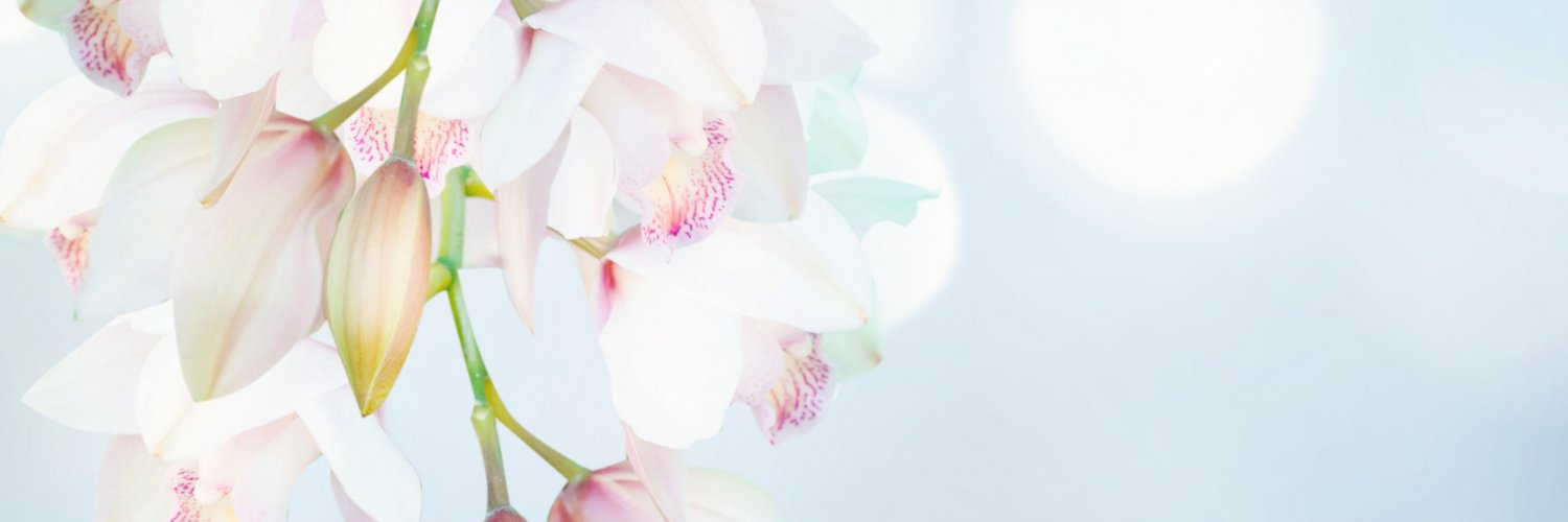 WoodsCoaching's profile banner image