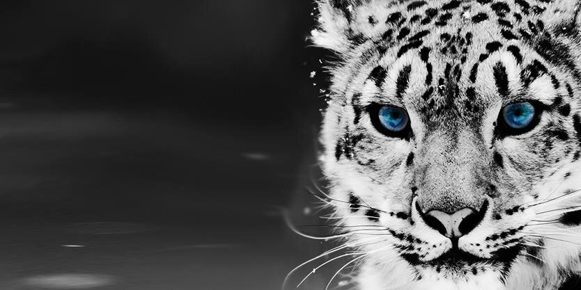 Leety09's profile banner image