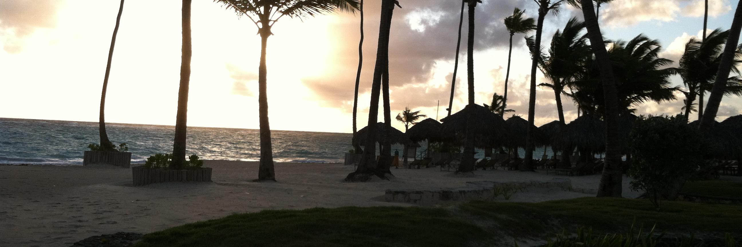 Peter Barbera banner