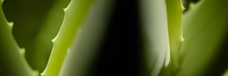 Veracetics's profile banner image