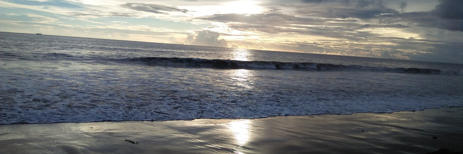 widiarikhaa's profile banner image