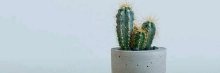 한 banner