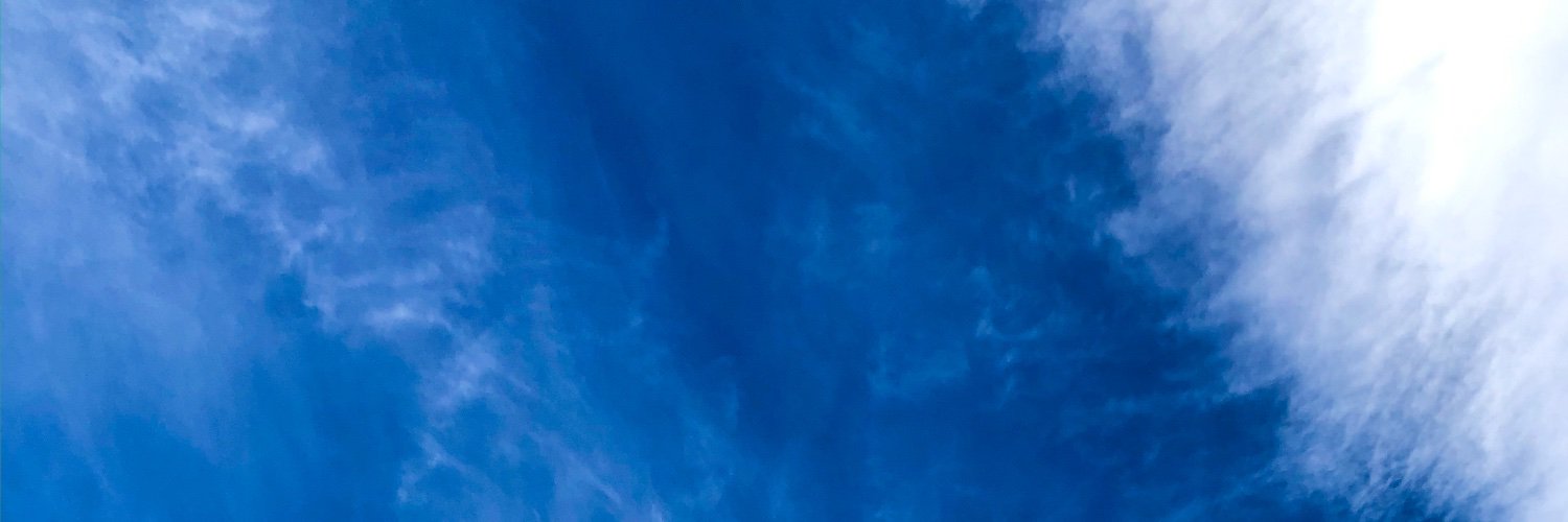 Vincent Simon 🆚 banner