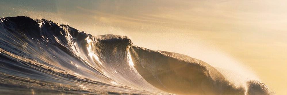 Clean Ocean Action banner