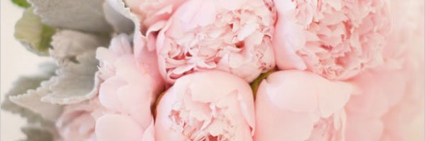 manonpuigsegur's profile banner image