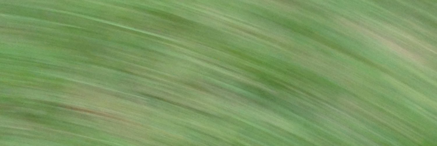 sinenfados's profile banner image