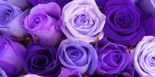 chavez_mireya's profile banner image