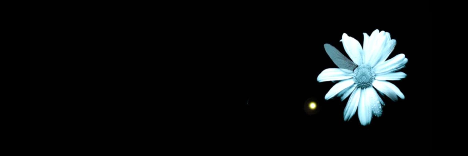 Alsonamedtiny's profile banner image