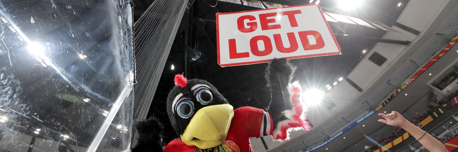Tommy Hawk banner