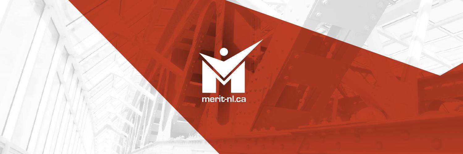 Merit_NL's profile banner image