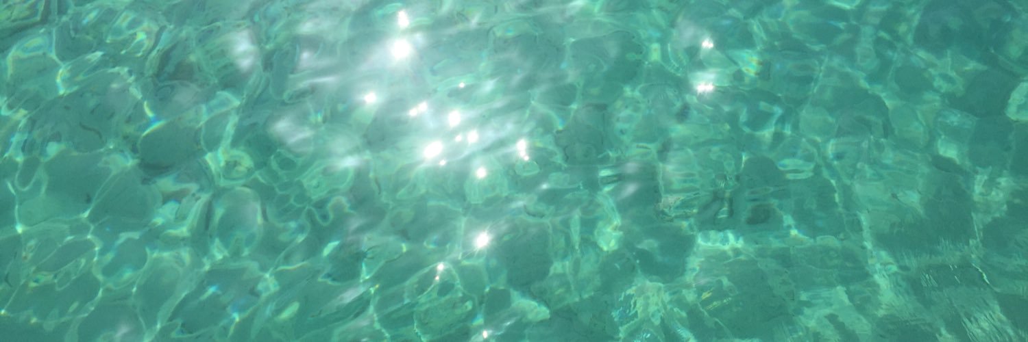 NicolasPoggi26's profile banner image