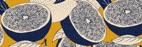 vdrnr's profile banner image