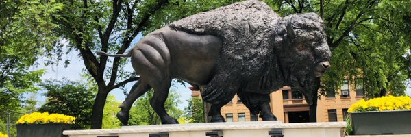 SwanyND Profile Banner