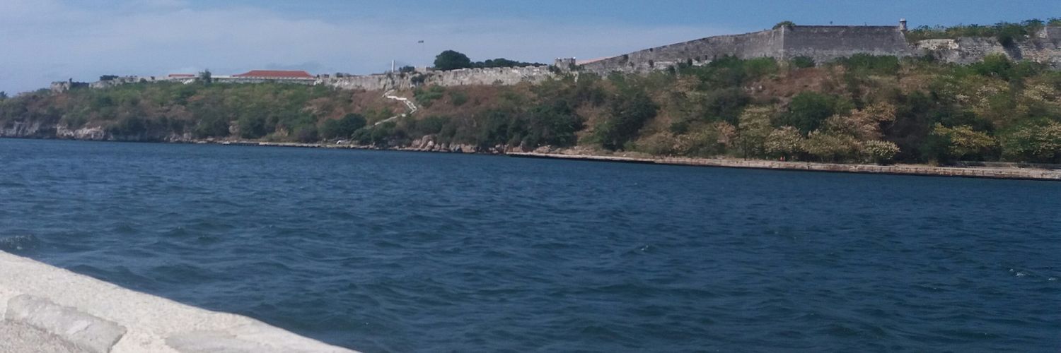 carmenchus's profile banner image