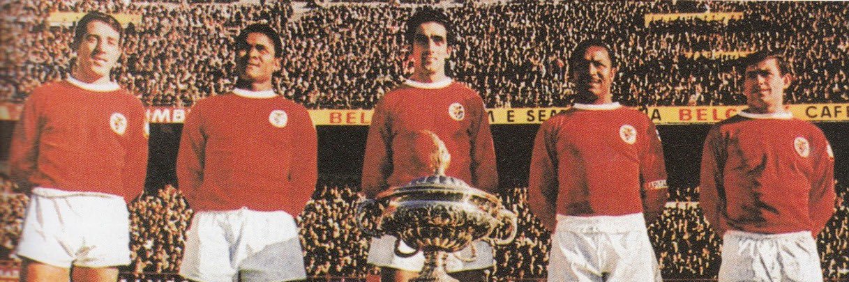 PedroMarchao's profile banner image