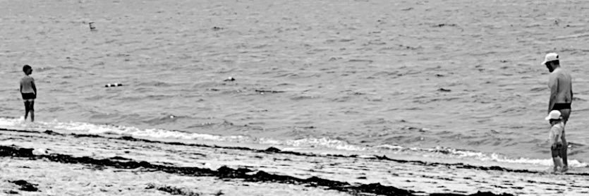 Silver Lining banner