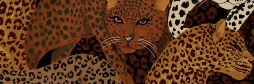 tipicavirgo's profile banner image