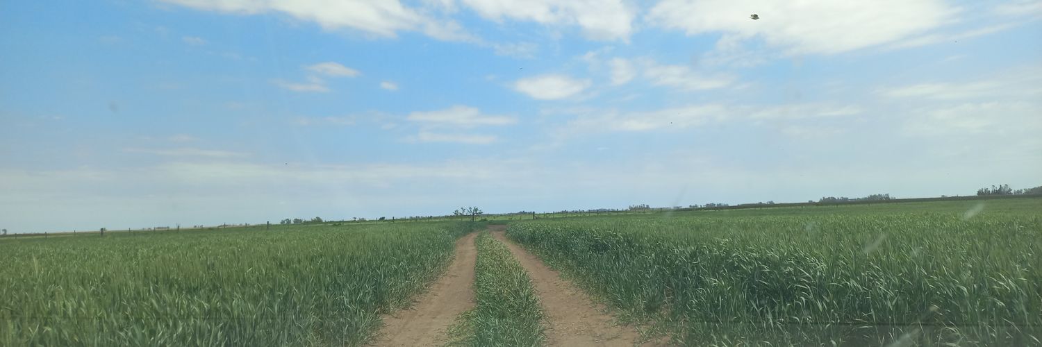 Matias Robiolo banner