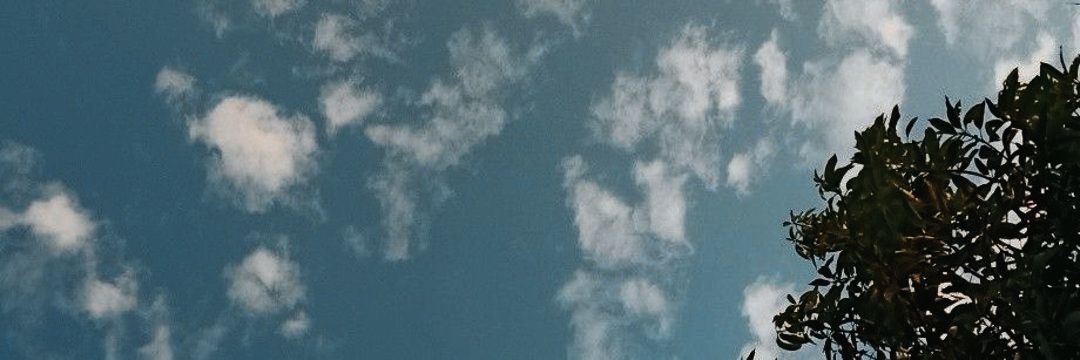 بستان لغتي | عبد الله السديري🇸🇦 banner