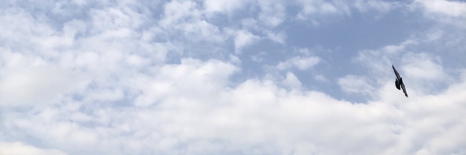 Weam Mohammed وئام محمد banner