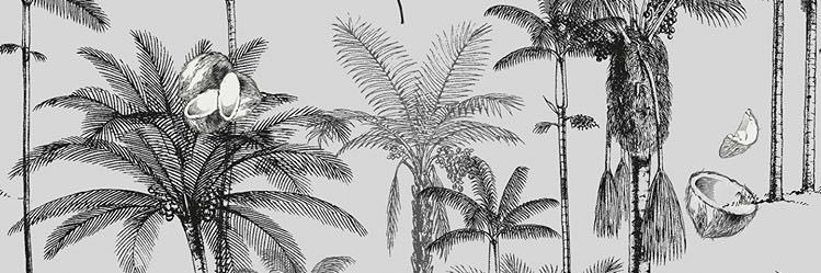candre_mos's profile banner image