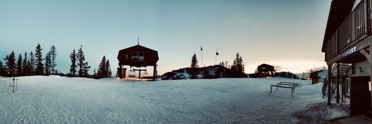 Sara Harchuck banner