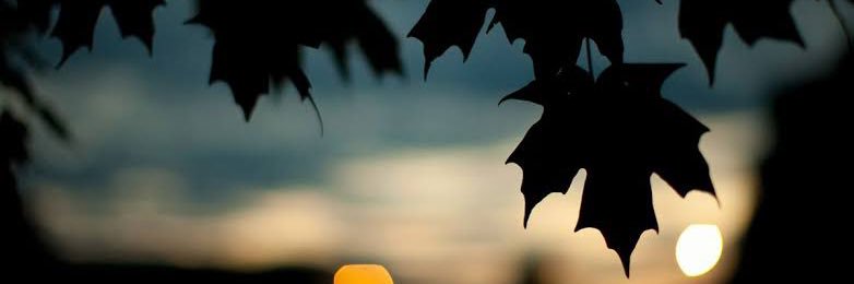 gary_ayala's profile banner image