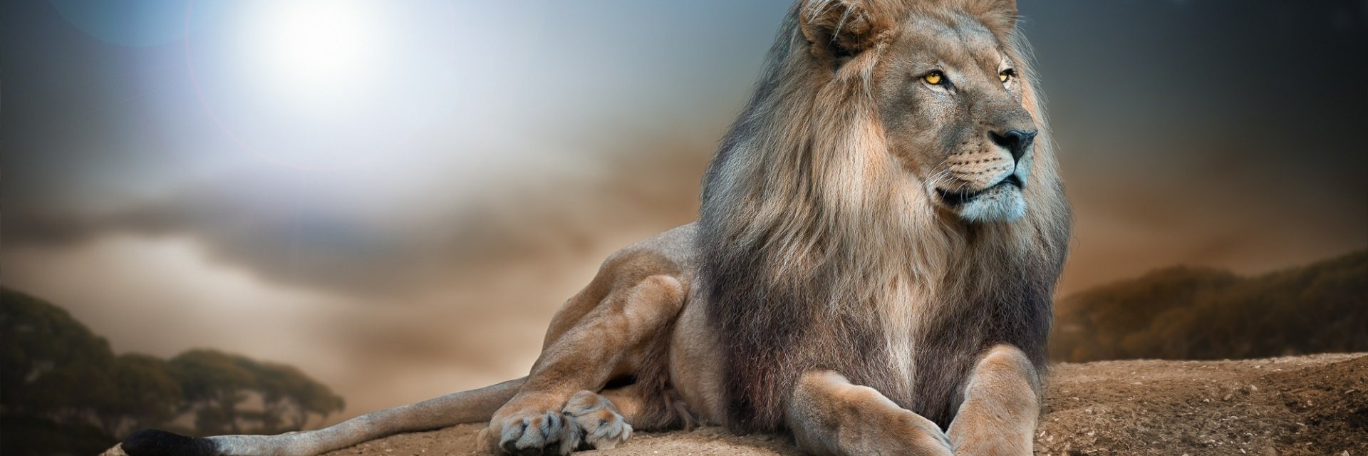 Jeromefern04's profile banner image