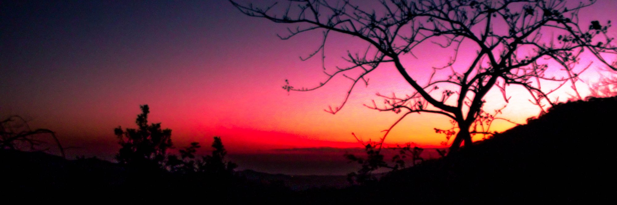 Martín Magallanes banner