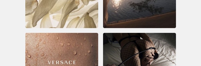 shalyjb's profile banner image
