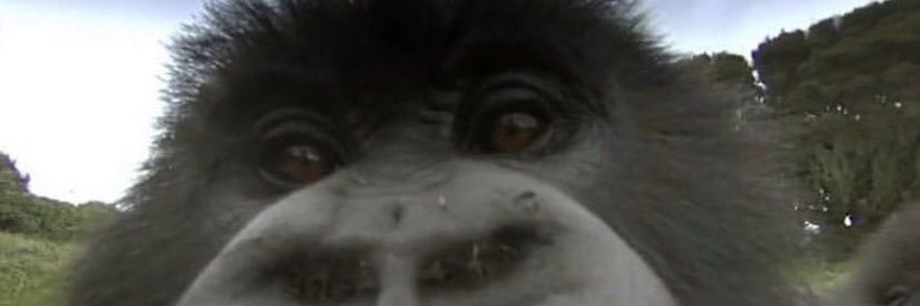 weird_fap's profile banner image