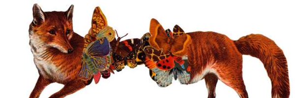 Sound_n_Vision Profile Banner