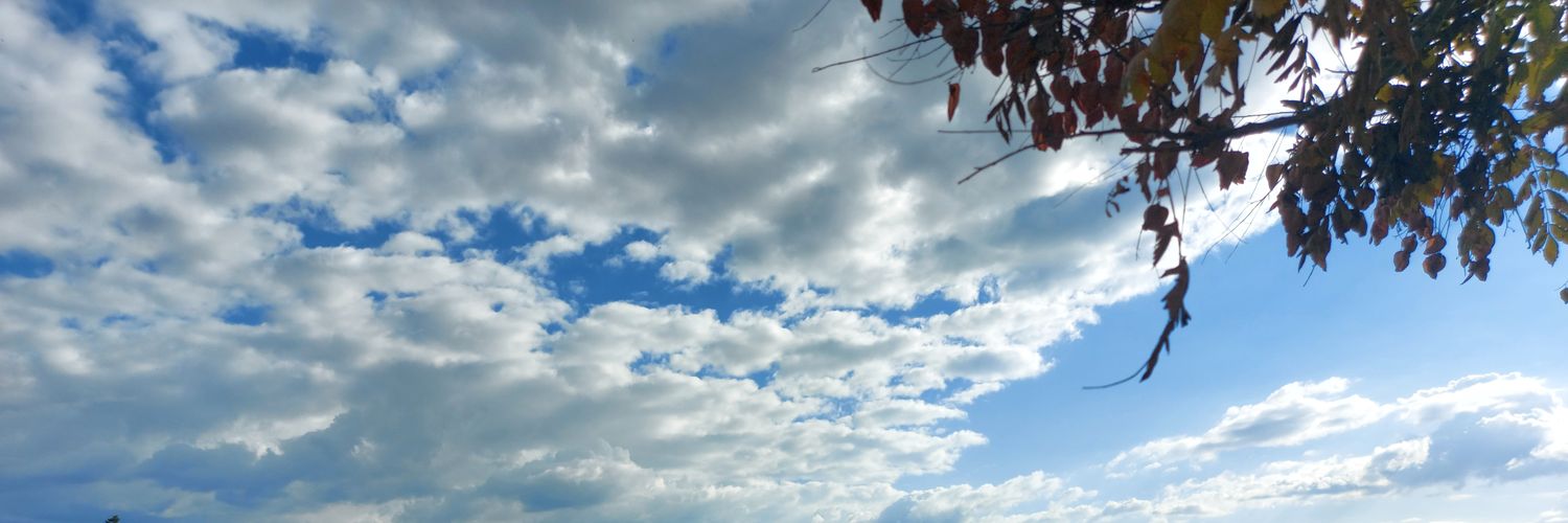 moyica3's profile banner image