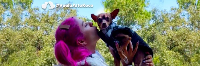 LESSLIE POLINESIA banner